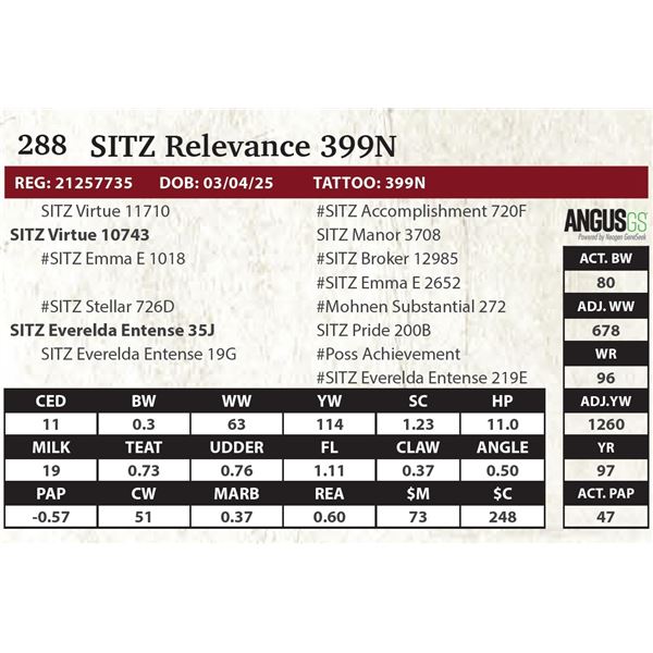 SITZ Relevance 399N