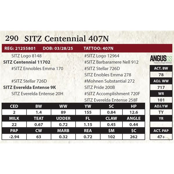 SITZ Centennial 407N
