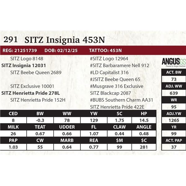 SITZ Insignia 453N