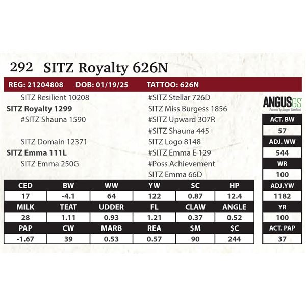 SITZ Royalty 626N