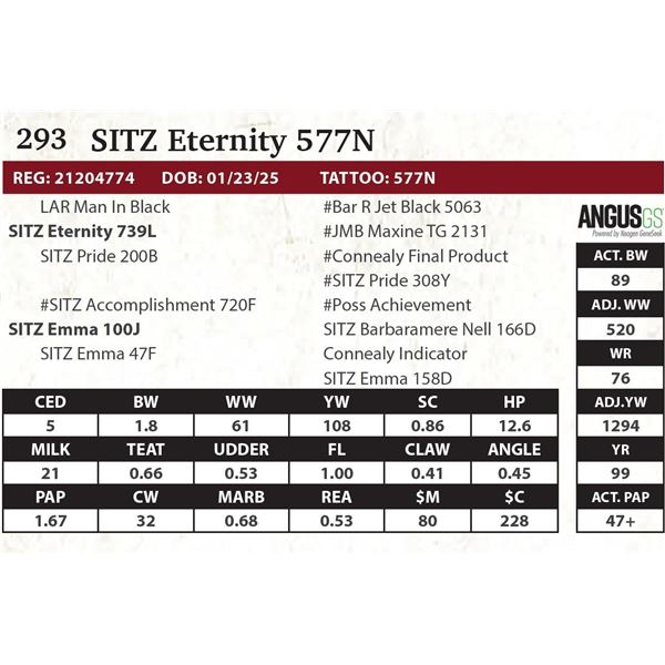 SITZ Eternity 577N