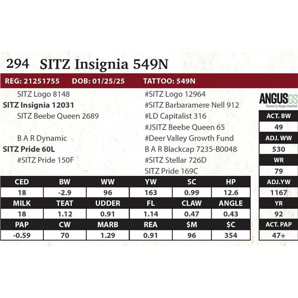 SITZ Insignia 549N