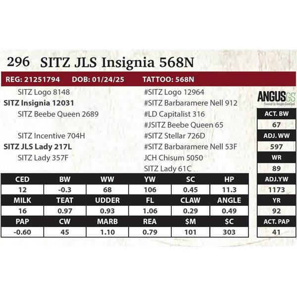 SITZ JLS Insignia 568N