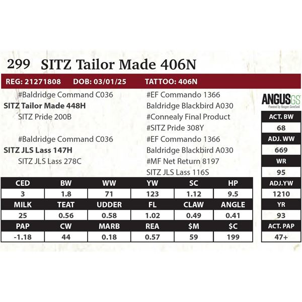 SITZ Tailor Made 406N