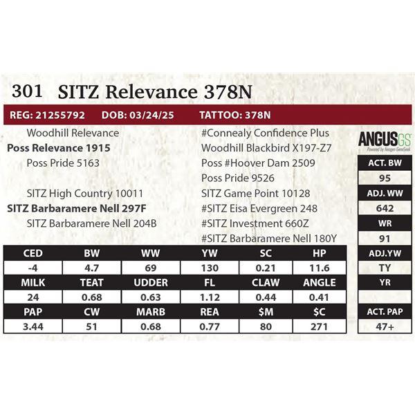 SITZ Relevance 378N