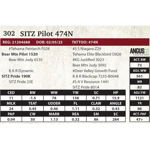 SITZ Pilot 474N