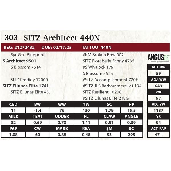 SITZ Architect 440N
