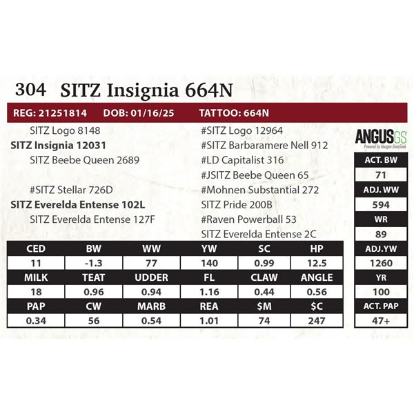 SITZ Insignia 664N
