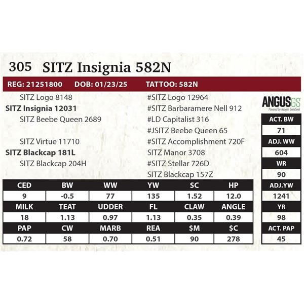 SITZ Insignia 582N