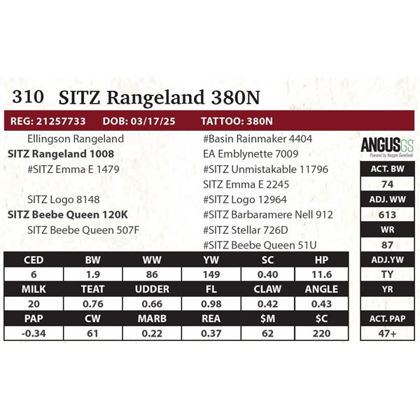 SITZ Relevance 380N