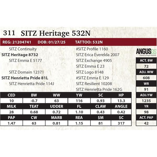 SITZ Heritage 532N
