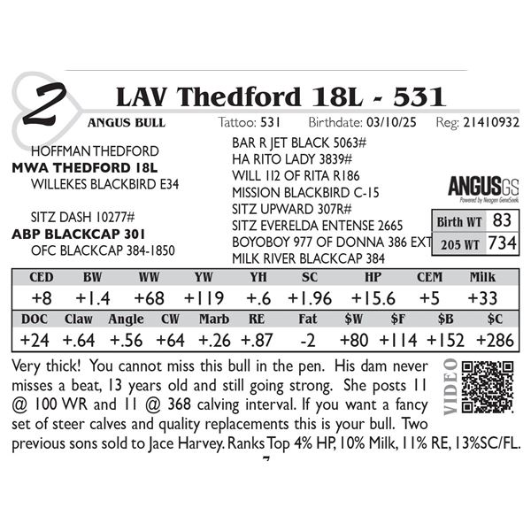 LAV Thedford 18L - 531