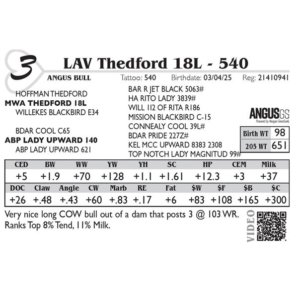 LAV Thedford 18L - 540