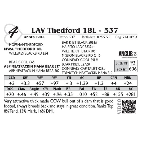LAV Thedford 18L - 537