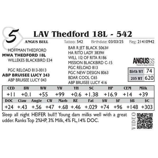 LAV Thedford 18L - 542