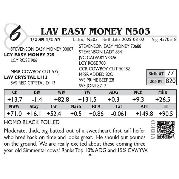 LAV Easy Money N503