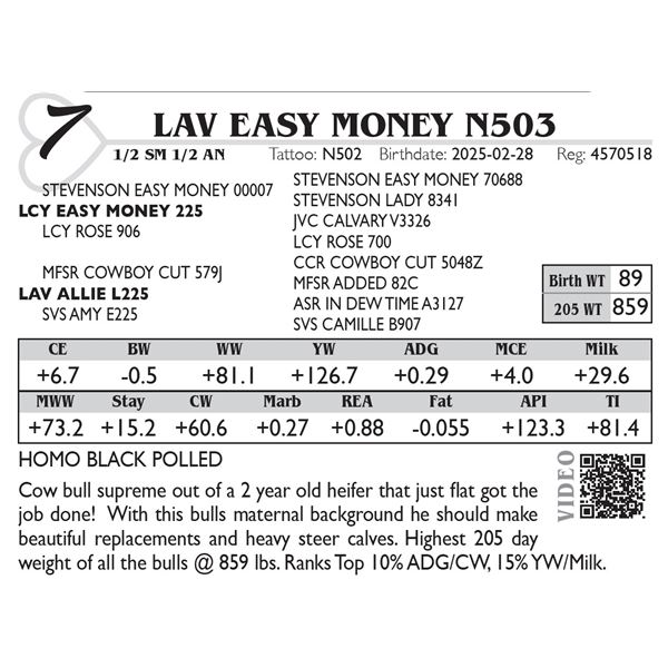 LAV Easy Money N502
