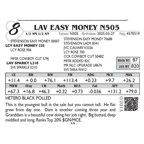 LAV Easy Money N505