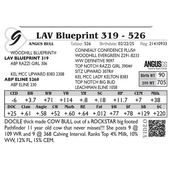 LAV Blueprint 319 - 526