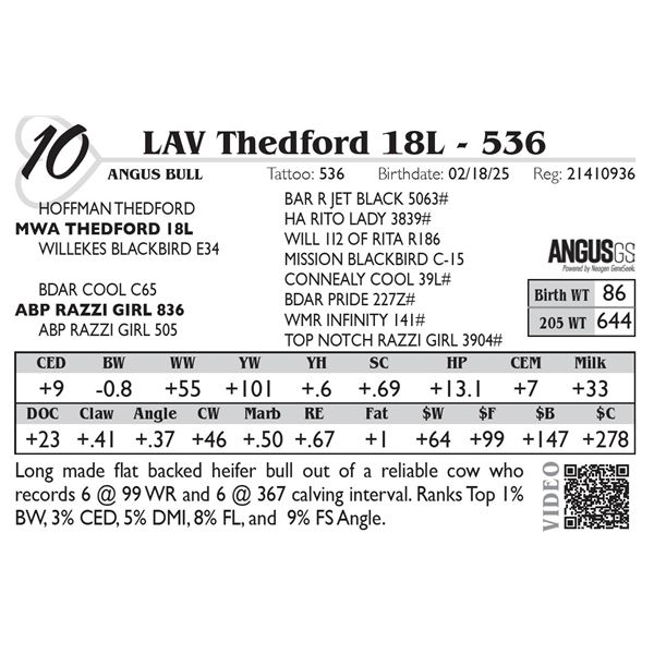 LAV Thedford 18L - 536