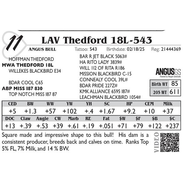 LAV Thedford 18L-543