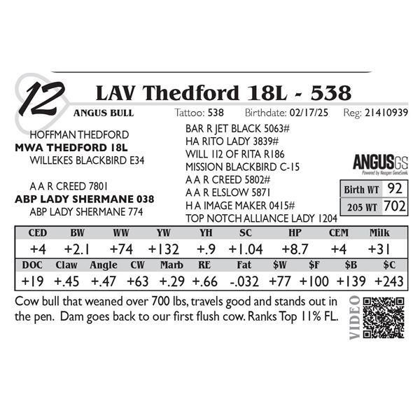 LAV Thedford 18L - 538