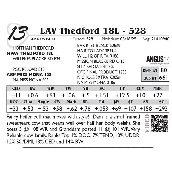 LAV Thedford 18L - 528