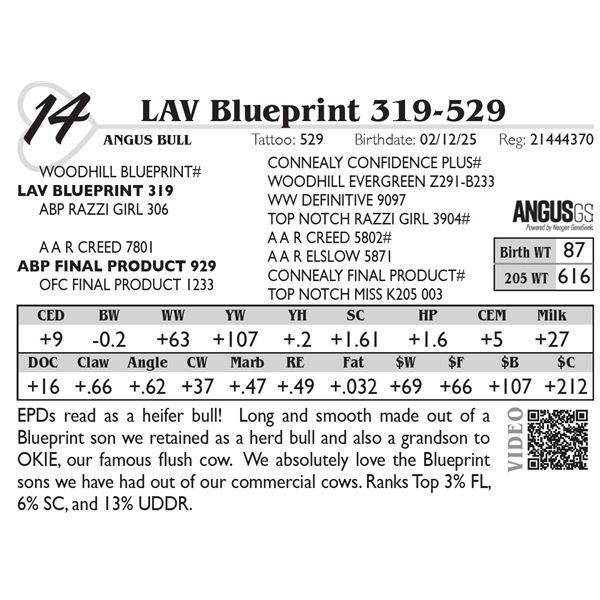 LAV Blueprint 319-529