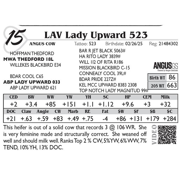 LAV Lady Upward 523