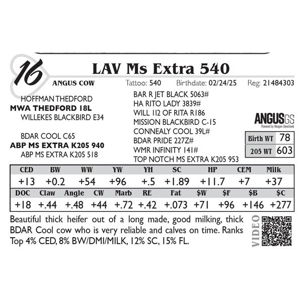 LAV Ms Extra 540