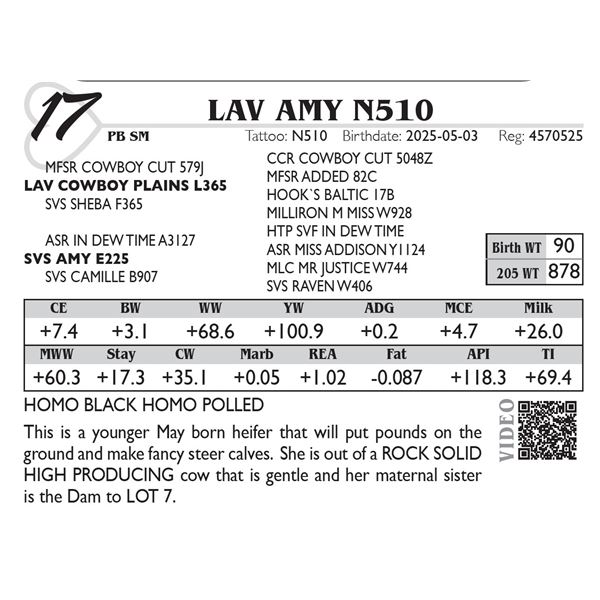 LAV AMY N510