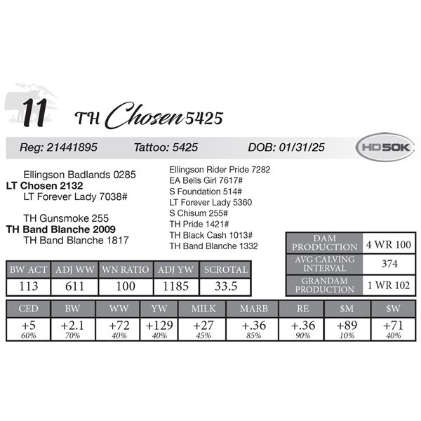 TH Chosen 5425