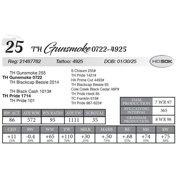 TH Gunsmoke 0722-4925