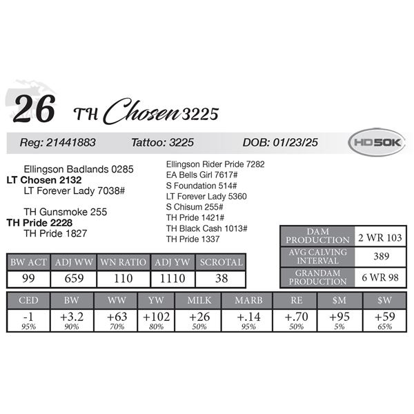 TH Chosen 3225