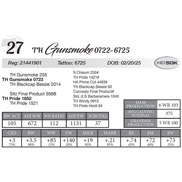 TH Gonsmoke 0722-6725