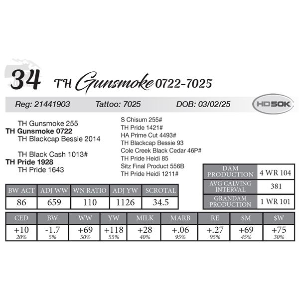 TH Gunsmoke 0722-7025