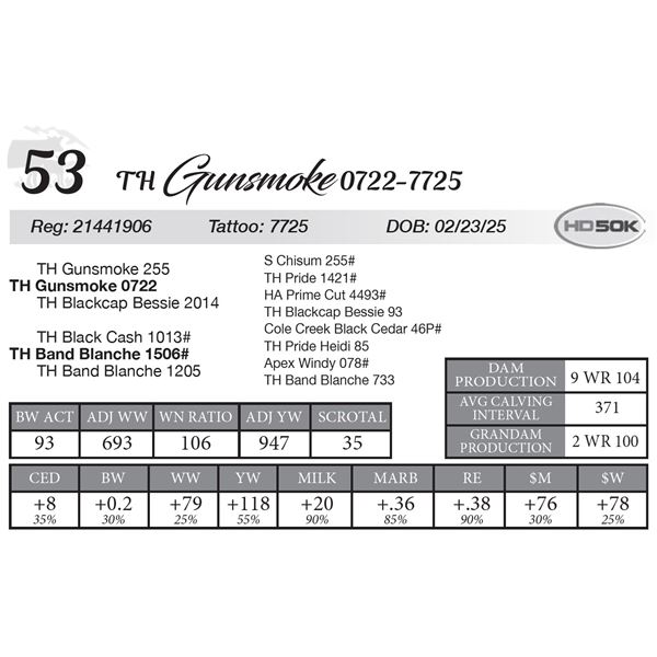 TH Gunsmoke 0722-7725