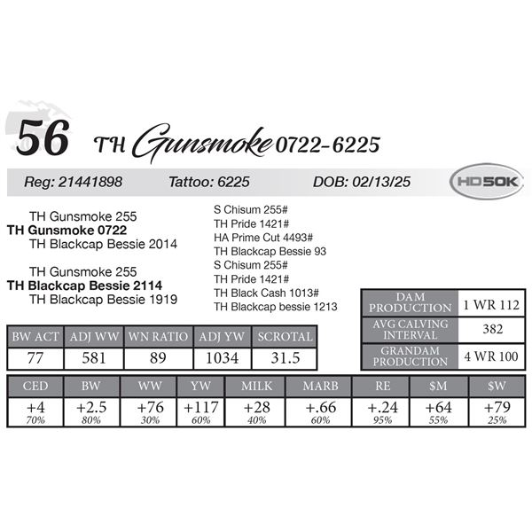 TH Gunsmoke 0722-6225