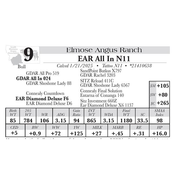 EAR All In N11