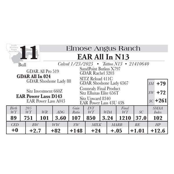 EAR All In N13