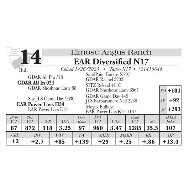 EAR Diversified N17