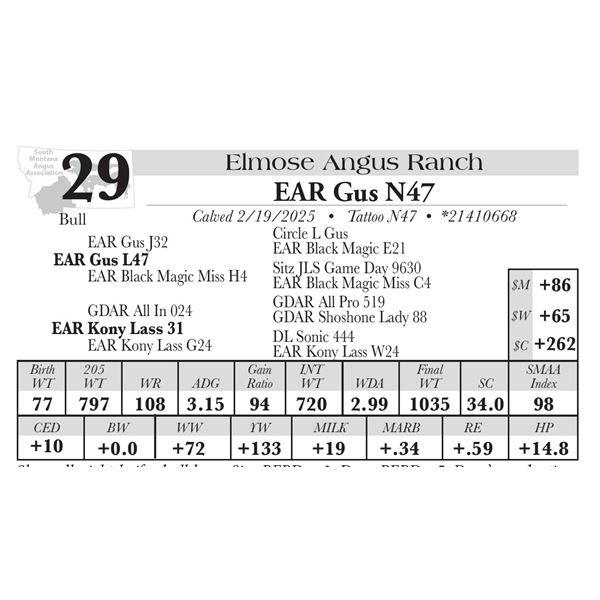 EAR Gus N47