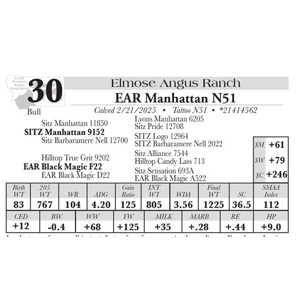 EAR Manhattan N51
