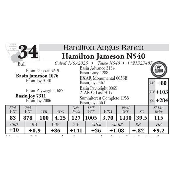 Hamilton Jameson N540