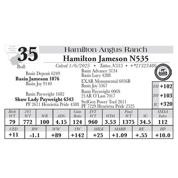 Hamilton Jameson N535