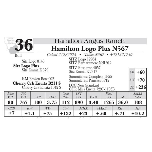 Hamilton Logo Plus N567