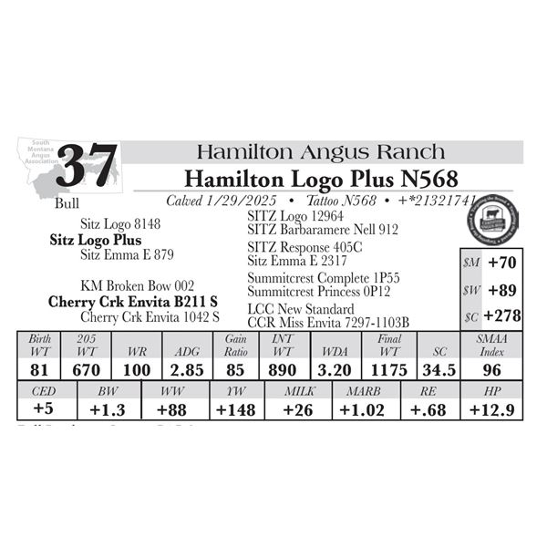 Hamilton Logo Plus N568