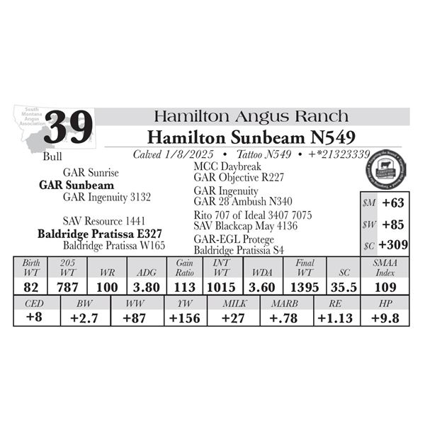 Hamilton Sunbeam N549