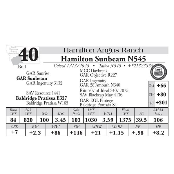 Hamilton Sunbeam N545