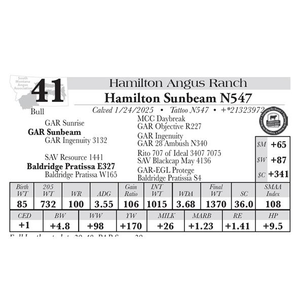 Hamilton Sunbeam N547